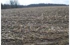 Property photo 60 - 98+/- Acres Offered in 6 Tracts or Combinations, Noble County, Indiana Farm